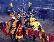 mt-joust.jpg
